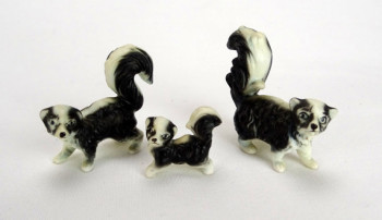 skunk family